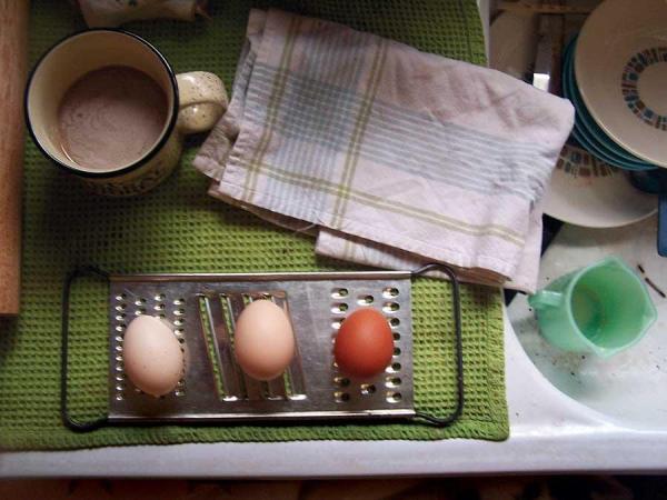 If you're thinking of becoming self-sufficient, a good place to start is in your own kitchen. Where does the food you eat come from, and could you produce more of it right in your own backyard?